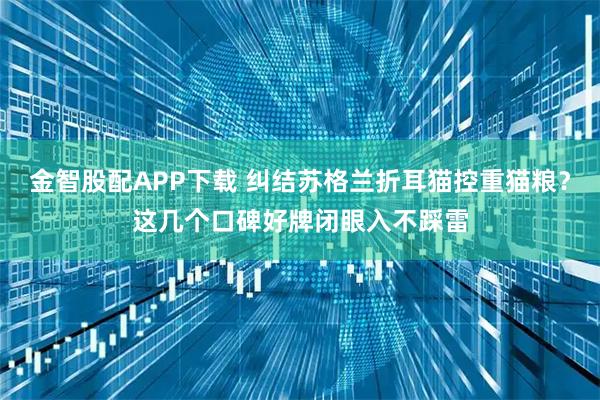 金智股配APP下载 纠结苏格兰折耳猫控重猫粮？这几个口碑好牌闭眼入不踩雷